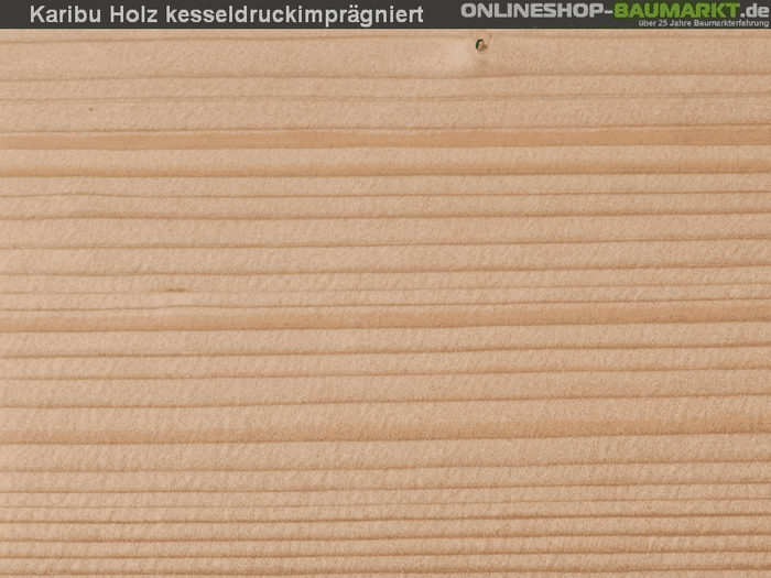 Karibu Carport Classic Doppel 2 mit 1 Einfahrtsbogen kdi