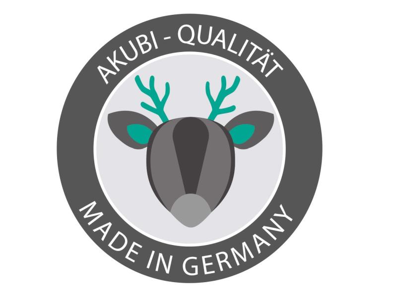 Karibu Ritterburg Löwenherz + Rutsche + Doppelschaukel + Anbauplattform