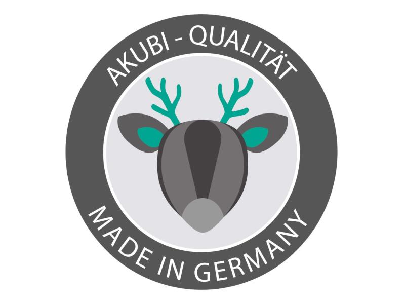 Karibu Spielturm Luis Satteldach + Rutsche blau + Doppelschaukelanbau Klettergerüst