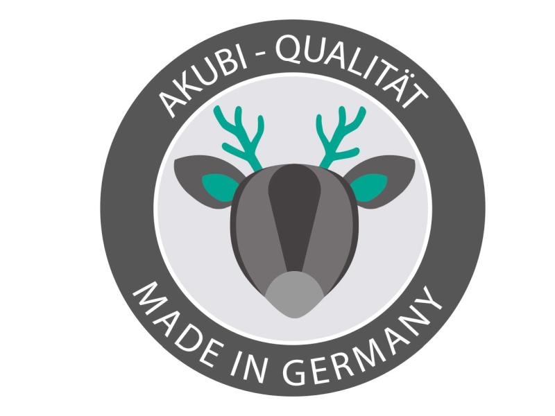 Karibu Stelzenhaus Frieda + Doppelschaukelanbau Klettergerüst